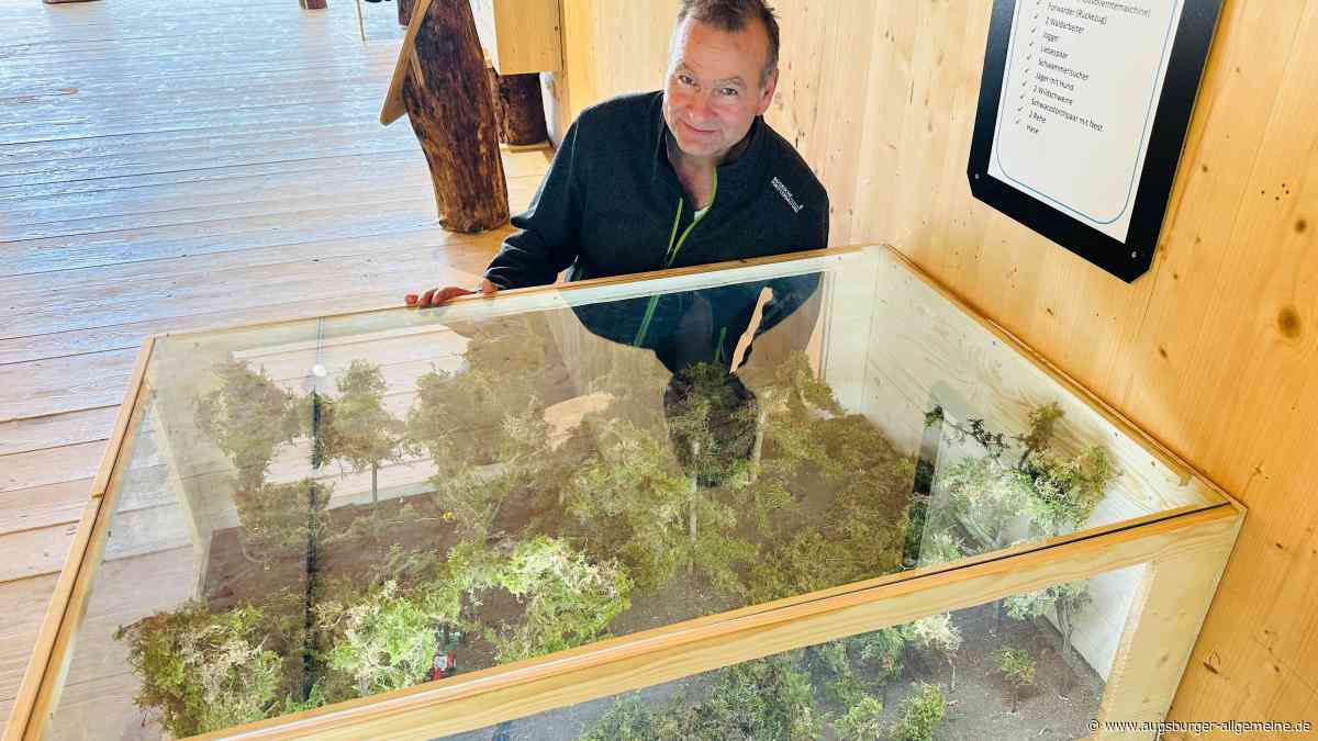 Roggenburger Waldpavillon: Hier kann man Wald aus allen Perspektiven erleben