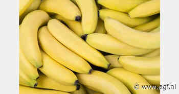 "Gemodificeerde bananen blijven langer vers en geel"