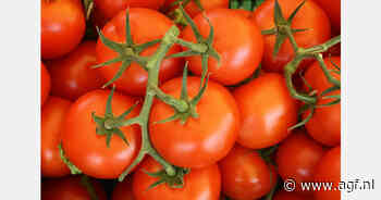 RASFF: MRL-overschrijding in tomaten uit Spanje