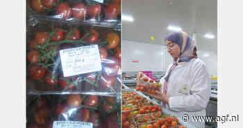 "Poolse supermarkten tonen interesse in Marokkaanse cherrytomaten"