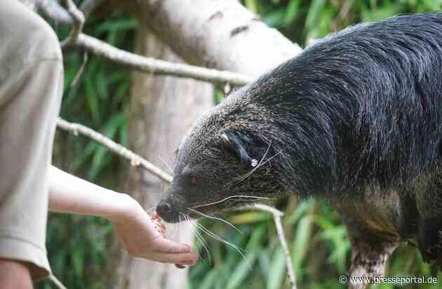 Für jedes Tier ein ganzes Team / In wissenschaftlich geführten Zoos sorgen Menschen aus Dutzenden Berufen für Tierwohl, Artenschutz, Forschung und Bildung - natürlich auch am Welttierschutztag