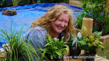 Garden Rescue Charlie Dimmock's life from parents' tragic deaths to forgotten soap role