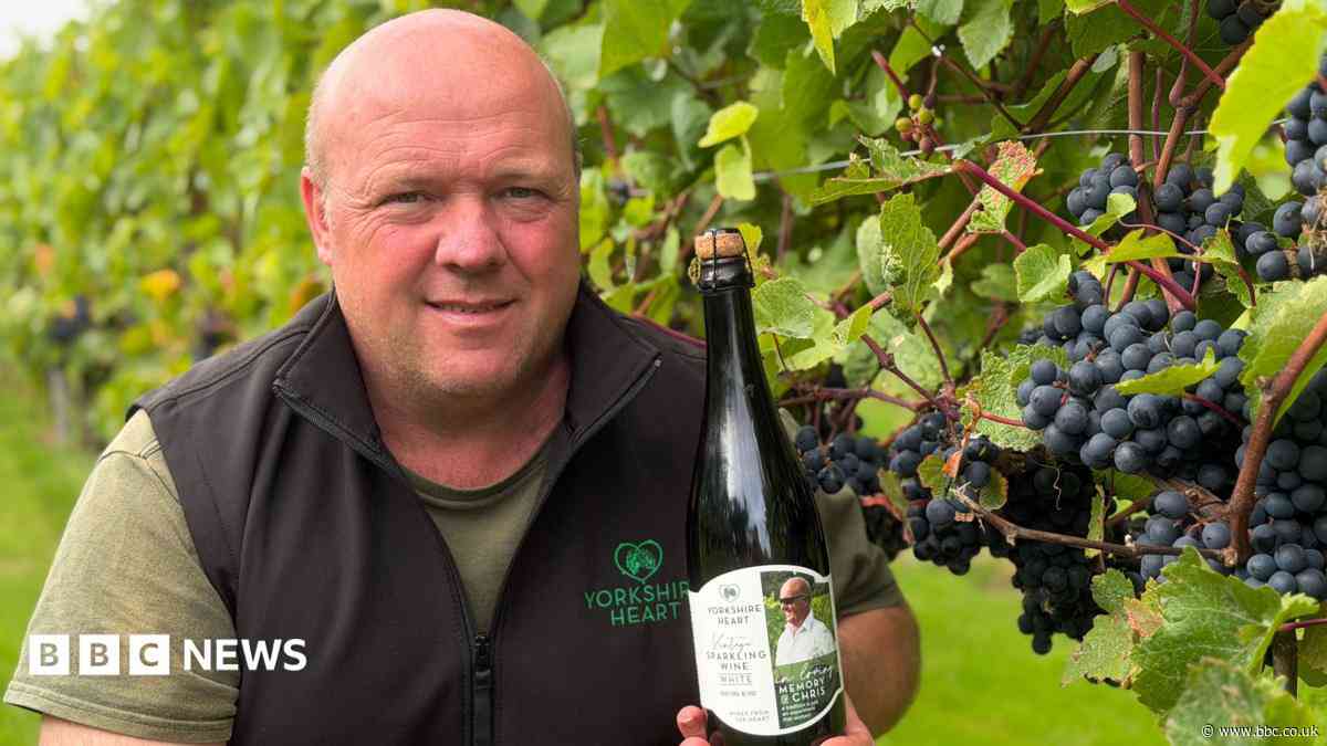 Yorkshire vineyards embrace merlot as climate changes