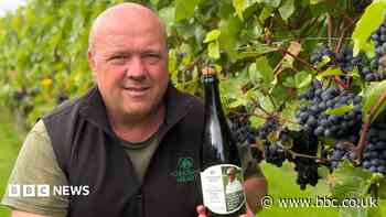 Yorkshire vineyards embrace merlot as climate changes