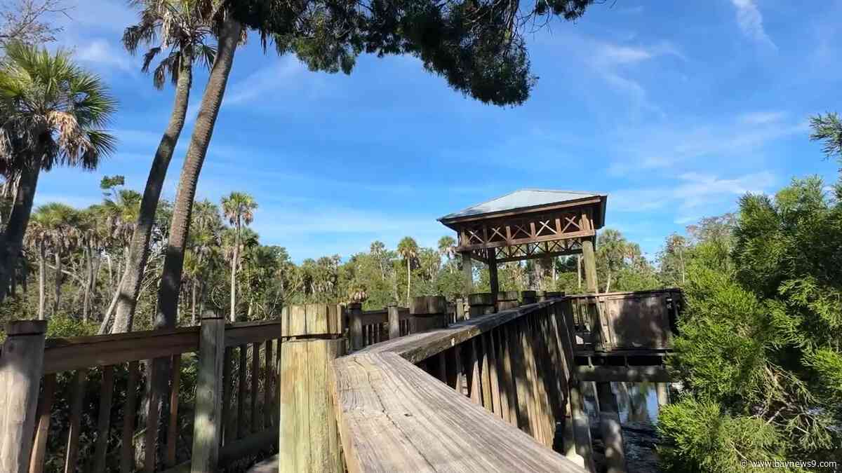 New Port Richey completes repairs to fishing pier at James E. Grey Preserve