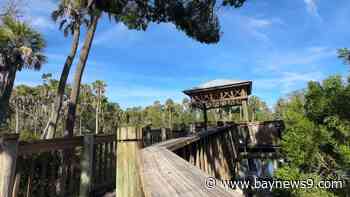 New Port Richey completes repairs to fishing pier at James E. Grey Preserve
