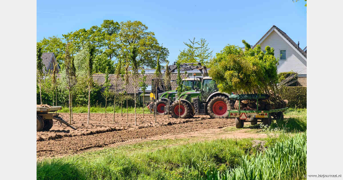Boomkwekerijgewassen en vaste planten nu officieel erkend als rustgewas
