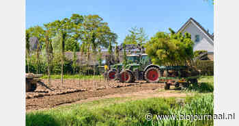 Boomkwekerijgewassen en vaste planten nu officieel erkend als rustgewas