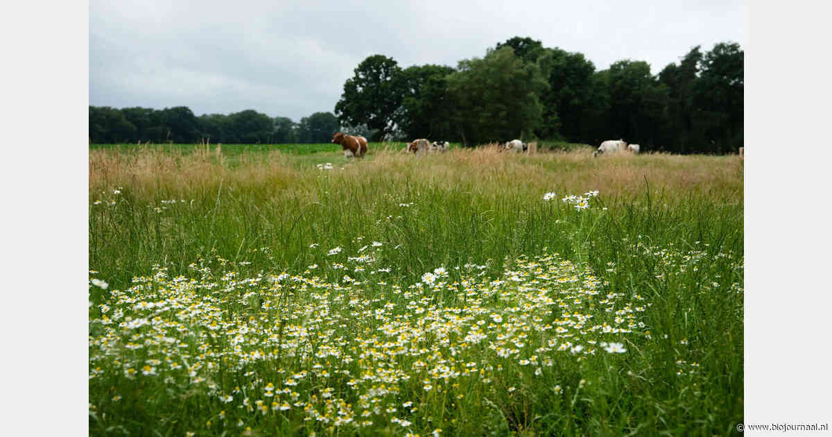 Boeren- en natuurorganisaties vragen om structurele financiering voor landbouw en natuur