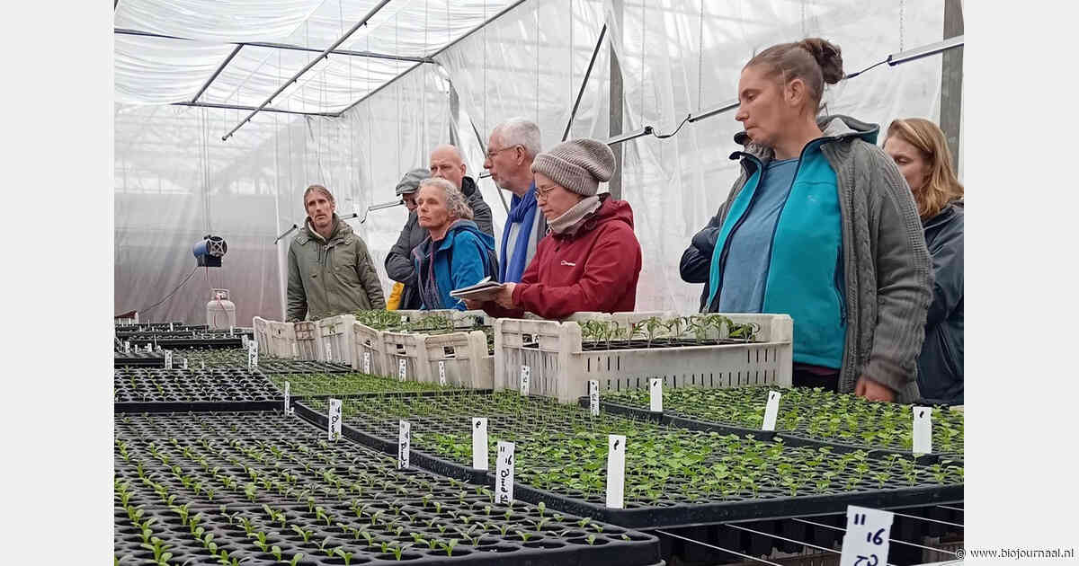 CSA Netwerk organiseert excursies en cursus rond plantopkweek