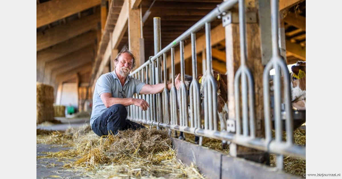 Allebei en BD Boerderij Ruimzicht genomineerd voor Deltaplan Veehouderij Publieksprijs