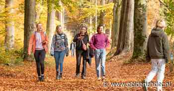 Zo ontmoet je nieuwe mensen: 11 initiatieven tegen eenzaamheid op een rij