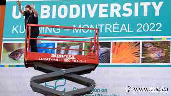 Canada led a 2022 deal to protect the world's nature. Has there been progress since then?