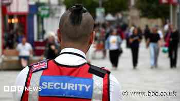 Asylum patrols set up after public 'concerns'
