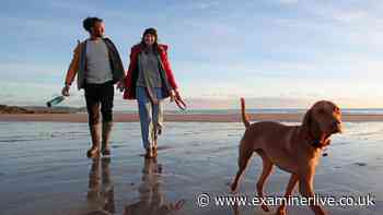 Vet's warning ahead of October 1 dog rule change