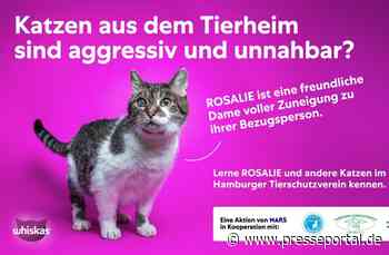 Mars-Studie: Unsicherheiten bremsen Tieradoptionen - Hamburger Kampagne schafft Orientierung
