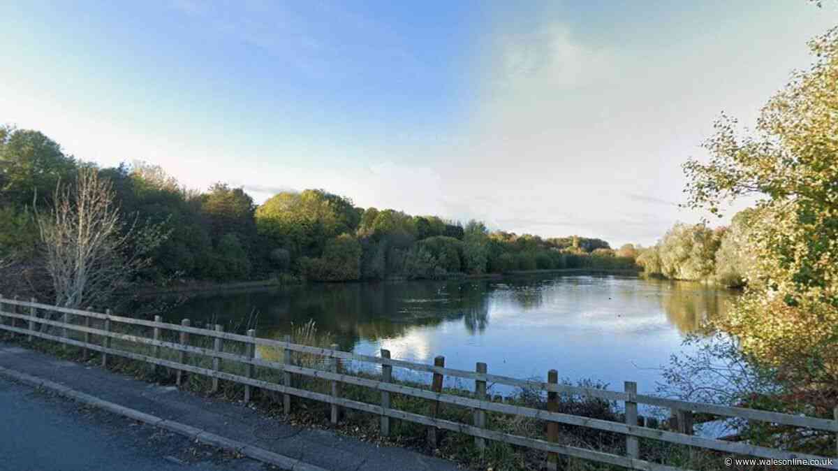 Warning after wildlife 'deliberately harmed' at Welsh beauty spot