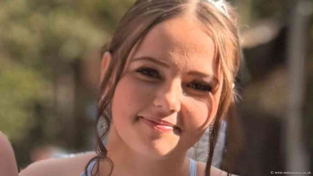 Tragic car crash teen remembered by family saying '15 years is only a short lifetime'