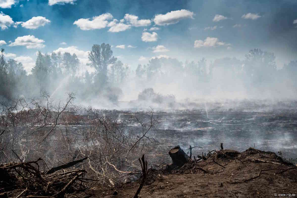 Flächenbrand am Restloch Rusendorf Meuselwitz: Zwei-Meter-Schicht soll den Brand ersticken