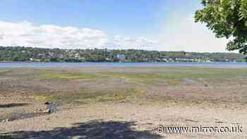 Newborn baby's body found on shoreline in Bangor as police search for mother