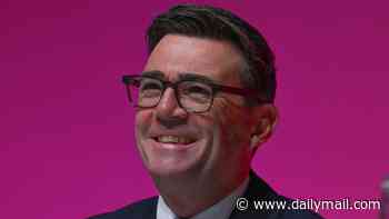 Hammer us more, Andy! Two-thirds of Labour members think they're taxed TOO LITTLE and want Burnham to boost Government's spending