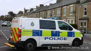 Man in 'critical' condition following suspected hit-and-run on North East street