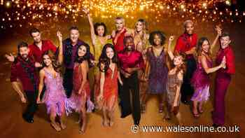 'I was a Strictly pro and one celebrity is this year's weakest link'