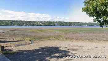 Urgent appeal after newborn baby's body found near Welsh shoreline