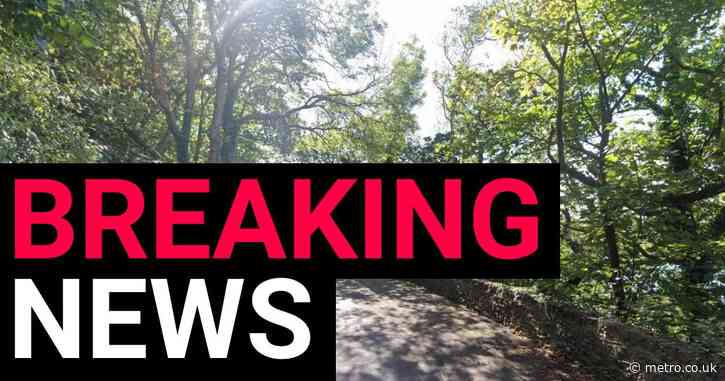Body of newborn baby found along shoreline in Bangor