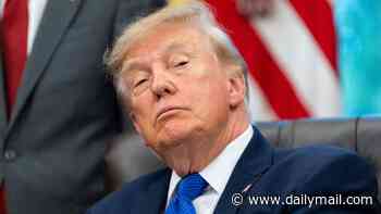 Trump's Canadian whiskey ban hits Americans TODAY as trade war escalates - but president faces brutal warning from US experts