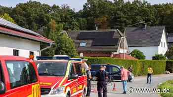 500-Kilo-Bombe im Heessener Wald in einer Stunde entschärft