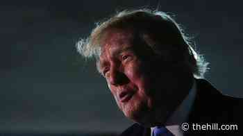Trump touts Senate passage of Protect College Sports Act: 'Really big deal'