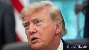 Watch live: Trump to tout AI push with America.gov launch