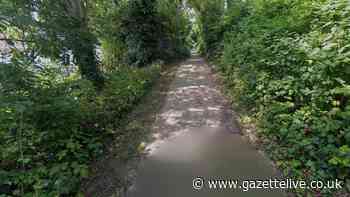 Flasher 'indecently exposes' himself to member of public on path near Tees Barrage