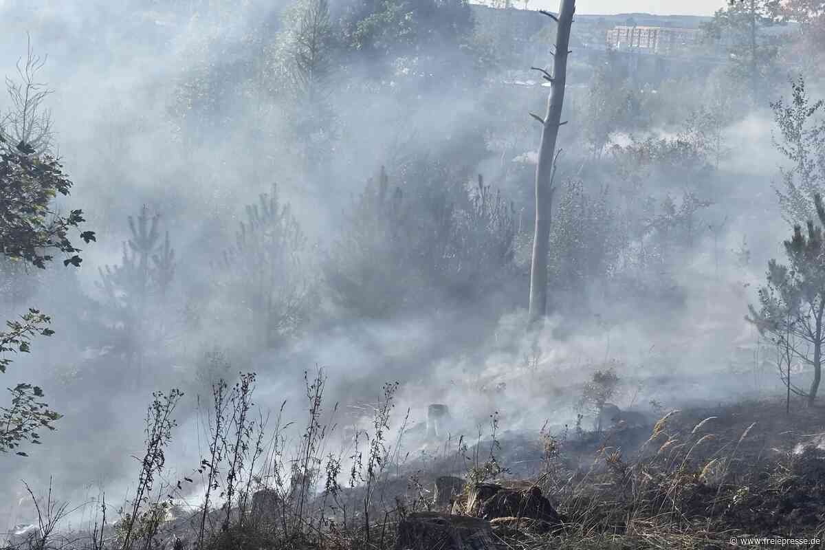 Erneut Waldbrand bei Plauen: Bevölkerungswarnung vor starker Rauchentwicklung