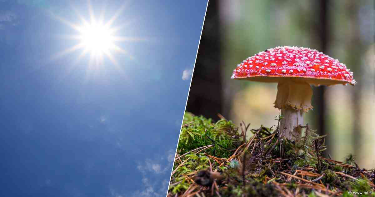 Herfst laat nog op zich wachten: kwik loopt op tot 28 graden in Brabant
