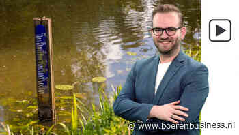 Broodnodige regen maakt nog geen einde aan droogte