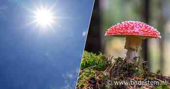 Herfst laat nog op zich wachten: kwik loopt op tot 28 graden in Brabant