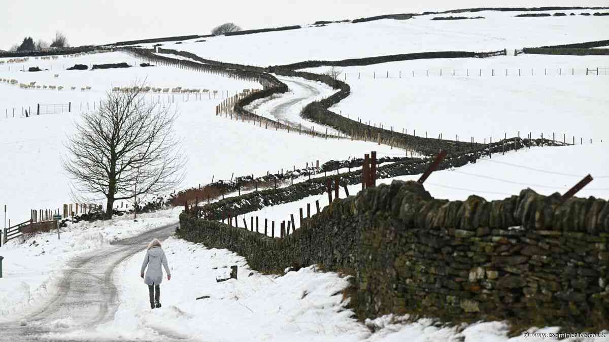 UK households urged to stock up on 15 items amid 'severe' polar vortex warning