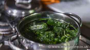 Frozen spinach will be much tastier if you do one simple thing before cooking it
