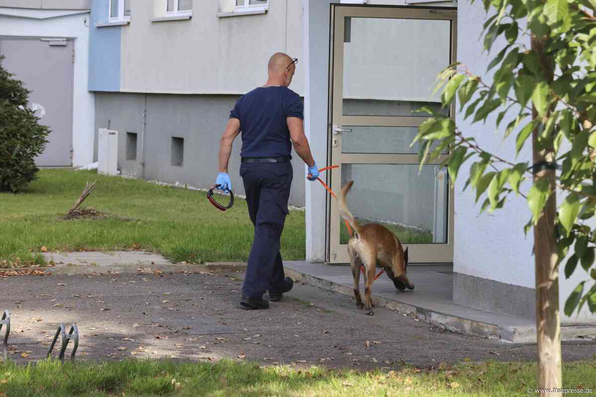 Drogenrazzia in Chemnitz: Polizei nimmt Mann fest