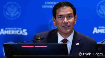 Rubio says Cuba has 'already fallen': 'It is a failed state'