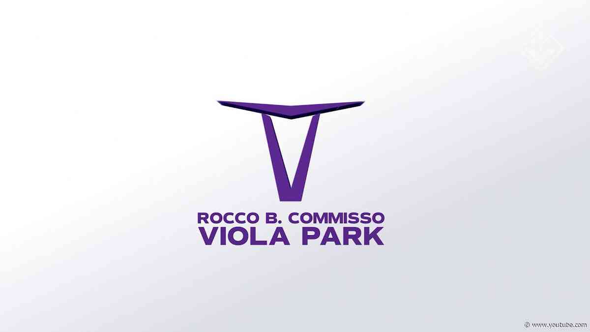 VIOLA DAILY LIVE - 29 SETTEMBRE 2026