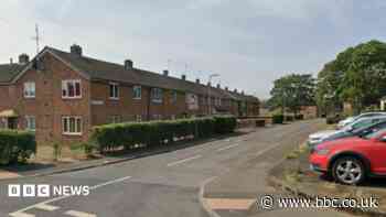 Masked men attack police car