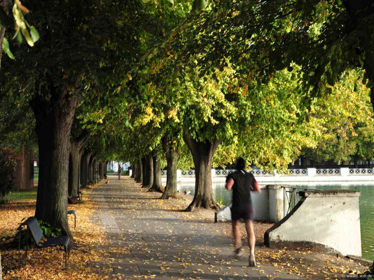 Warum Bauernregeln keine Wetter-Prognosen sind