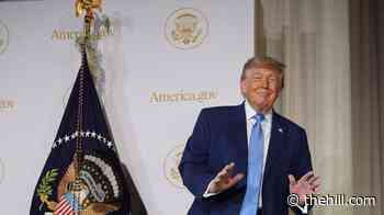 Trump launches America.gov, AI-powered government services hub