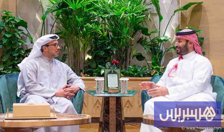 الأخوة تجمع بين السعودية والإمارات