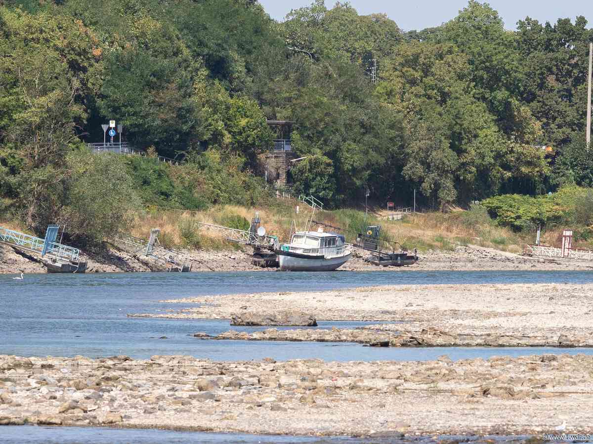 Kurzarbeit als Folge des Niedrigwassers im Rhein