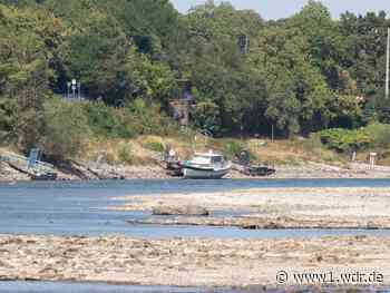 Kurzarbeit als Folge des Niedrigwassers im Rhein