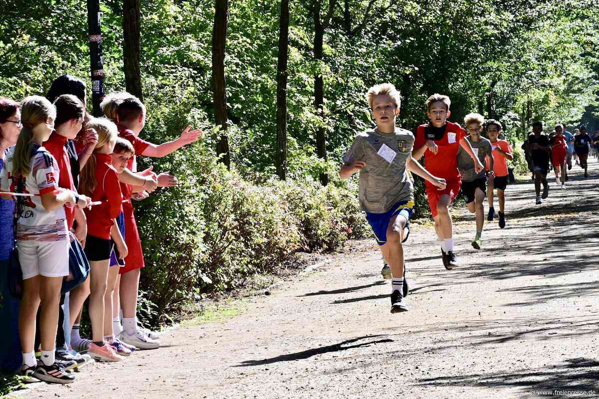 Zwickauer Schulen messen sich beim Crosslauf: „Die Kinder wollen ja!“